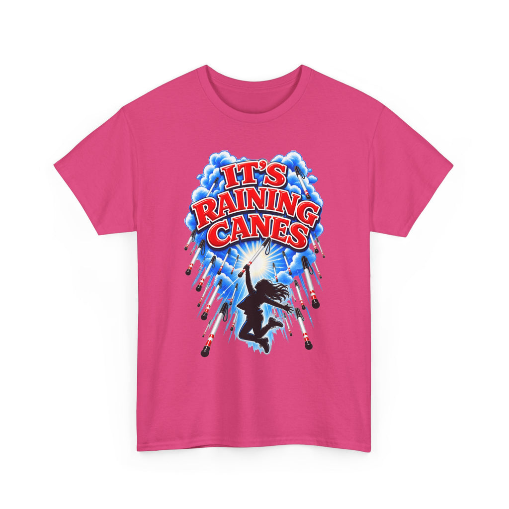 It's Raining Canes T-Shirt — Cane Dance Party Graphic Tee