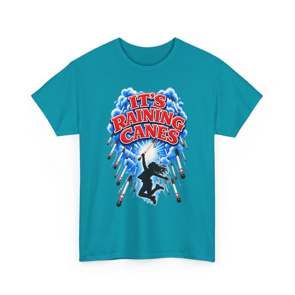 It's Raining Canes T-Shirt — Cane Dance Party Graphic Tee